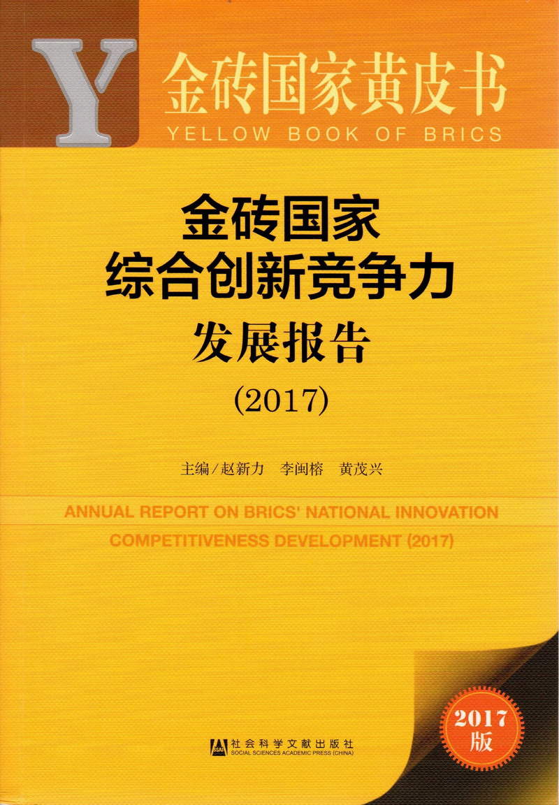 可以看艹的视频金砖国家综合创新竞争力发展报告（2017）